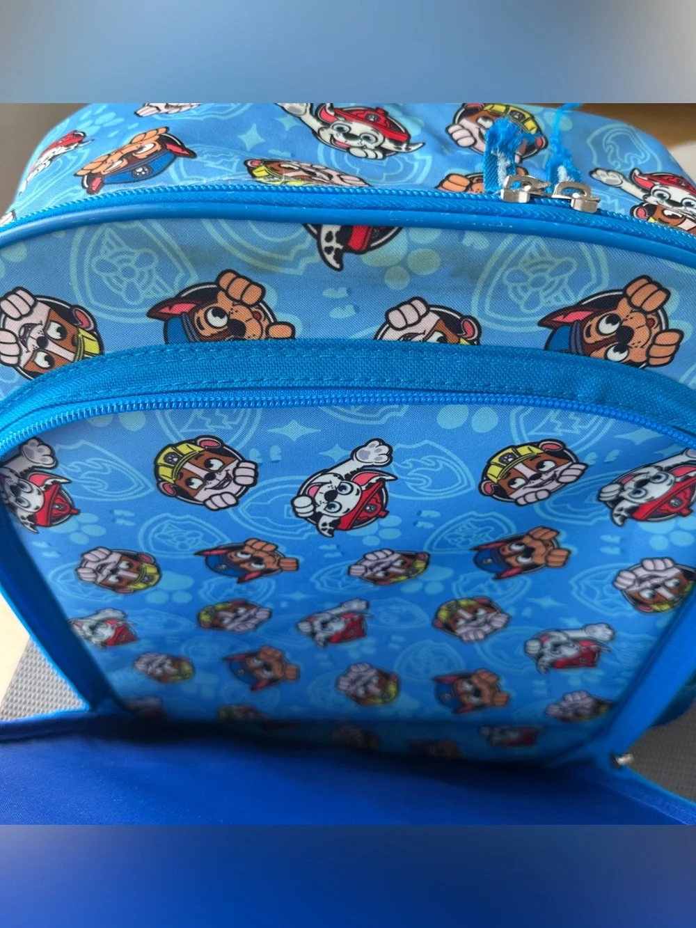 Paw Patrol Kids 3D Backpack Nickelodeon Pawsome Friends